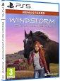 Windstorm Start of a Great Friendship Remastered (Playstation 5)